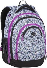 Bagmaster - BAGMASTER Plecak szkolny trzykomorowy Energy 9 B violet/white/blue #1
