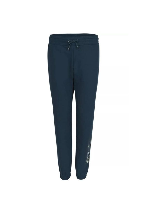 Damskie spodnie treningowe O'Neill Lw All Year. Kolor: zielony. Długość: długie