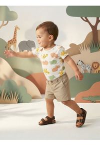 Sinsay - Jednolite bawełniane szorty - beżowy. Kolor: beżowy. Materiał: bawełna. Wzór: jednolity #1