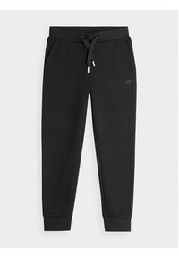 4f - 4F Spodnie dresowe 4FJAW23TTROF515 Czarny Regular Fit. Kolor: czarny. Materiał: bawełna