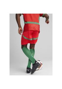 Puma - Męskie szorty Maroko 2025 PUMA Red Archive Green. Kolor: czerwony, wielokolorowy, zielony. Sport: piłka nożna