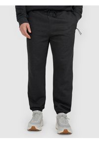4f - 4F Spodnie dresowe joggery męskie - szare M. Kolor: szary. Materiał: dresówka. Sport: fitness #2