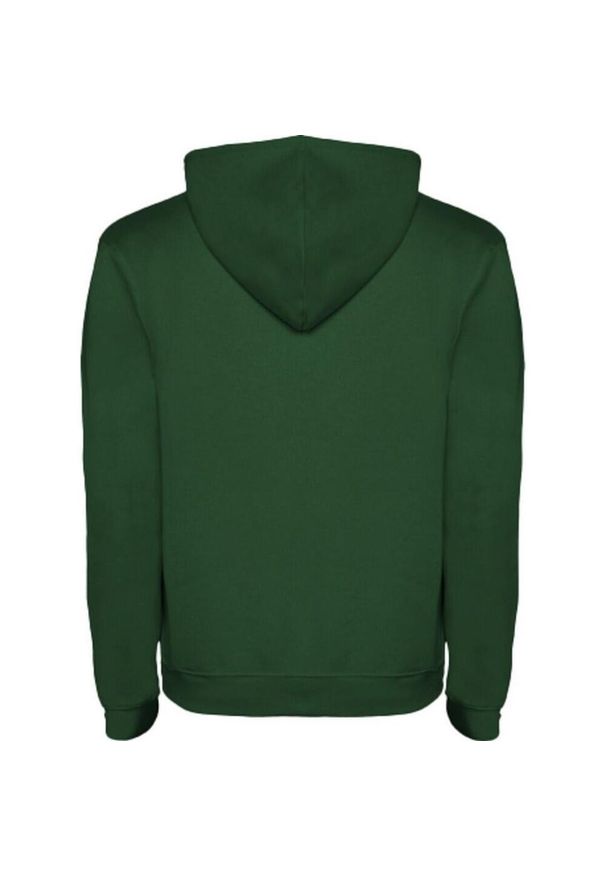 ROLY - Męska Bluza Z Kapturem Urban. Typ kołnierza: kaptur. Kolor: szary, wielokolorowy, zielony