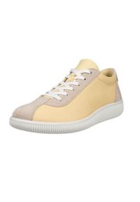 ecco - Buty do chodzenia damskie Ecco Soft Zero. Kolor: wielokolorowy. Materiał: skóra. Szerokość cholewki: normalna. Sport: turystyka piesza