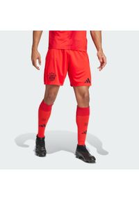 Adidas - Szorty FC Bayern 24/25 Home. Kolor: czerwony. Materiał: materiał. Sport: piłka nożna #1