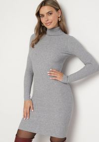 Born2be - Szara Dopasowana Sukienka z Prążkowanej Dzianiny z Golfem Seralinda. Okazja: na co dzień. Typ kołnierza: golf. Kolor: szary. Materiał: prążkowany, dzianina. Długość rękawa: długi rękaw. Styl: wizytowy, klasyczny, casual #1