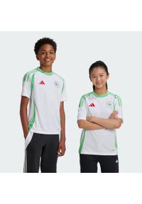 Adidas - Koszulka Algeria 24 Home Kids. Kolor: wielokolorowy, zielony, biały