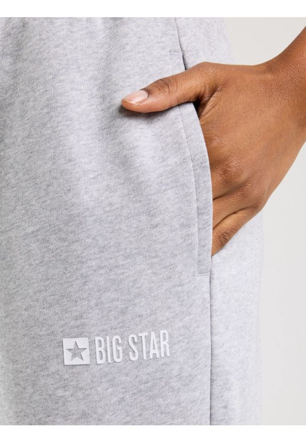 Big-Star - spodnie damskie dresowe szare kathy 901. Kolor: szary. Materiał: dresówka. Wzór: nadruk