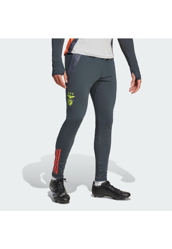 Adidas - Spodnie treningowe Benfica Lisbonne 2024/25. Kolor: czerwony, szary, wielokolorowy. Materiał: materiał, dresówka. Sport: fitness, piłka nożna