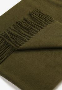 Born2be - Ciemnozielony Szalik Inglidyr. Kolor: zielony. Styl: elegancki #2