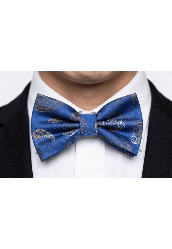Mucha Męska w Zestawie z Poszetką - Alties - Niebieska, w Paisley. Kolor: niebieski. Wzór: paisley. Styl: elegancki, sportowy