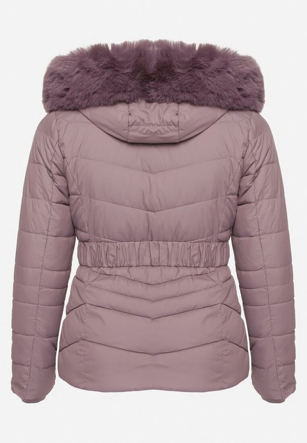 Born2be - Ciemnofioletowa Pikowana Kurtka Zimowa z Paskiem i Kapturem z Futrem z Możliwością Odpięcia Toriella. Okazja: na co dzień. Kolekcja: plus size. Kolor: fioletowy. Długość: długie. Wzór: aplikacja. Materiał: futro. Długość rękawa: długi rękaw. Sezon: zima. Styl: wizytowy, elegancki, casual