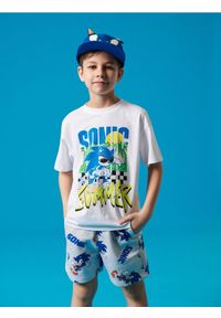 Sinsay - Szorty 2 pack Sonic The Hedgehog - wielobarwny