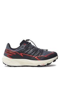 salomon - Salomon Buty do biegania Thundercross Gore-Tex L47684500 Szary. Kolor: szary. Materiał: materiał. Technologia: Gore-Tex #1