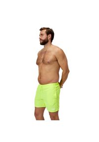 Spodenki szorty męskie kąpielowe Speedo Essentials Watershorts. Kolor: zielony. Materiał: nylon, materiał