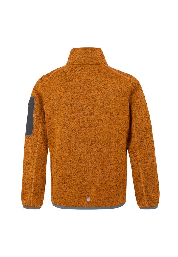 Regatta - Kurtka Dziecięca Newhill Fleece Jacket. Kolor: pomarańczowy, żółty, wielokolorowy. Sezon: zima