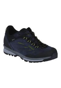 Buty trekkingowe męskie Lowa Delago Low Gtx. Kolor: wielokolorowy. Materiał: skóra. Szerokość cholewki: normalna