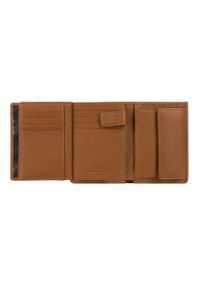 Wittchen - Męski portfel skórzany pionowy jasny brąz. Kolor: brązowy. Materiał: skóra