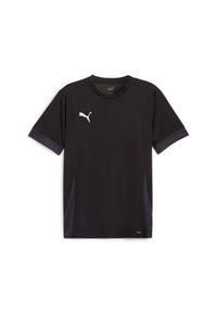 Koszulka Puma Teamgoal Matchday. Kolor: czarny. Sport: piłka nożna #1