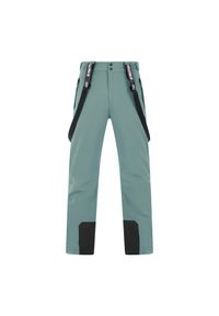 Spodnie narciarskie Protest Chester. Kolor: zielony. Sezon: zima. Sport: narciarstwo #1