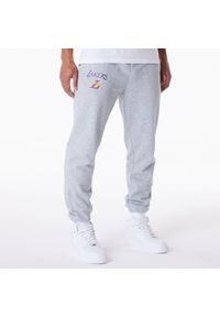 Spodnie męskie New Era NBA Essentials Jogger Los Angeles Lakers. Kolor: szary