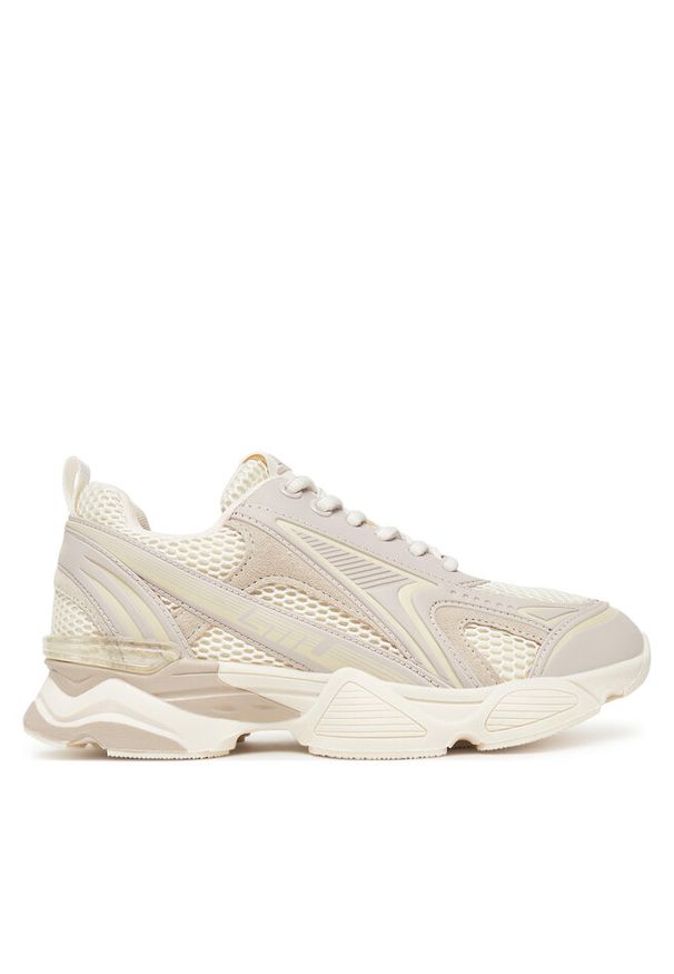 Sneakersy Steve Madden