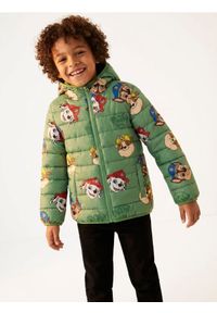 Sinsay - Pikowana kurtka z kapturem PAW Patrol - zielony. Typ kołnierza: kaptur. Kolor: zielony #1