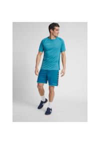 Koszulka do piłki ręcznej męska Hummel hml AUTHENTIC Pro HML. Kolor: turkusowy, niebieski, wielokolorowy. Sport: piłka nożna #1