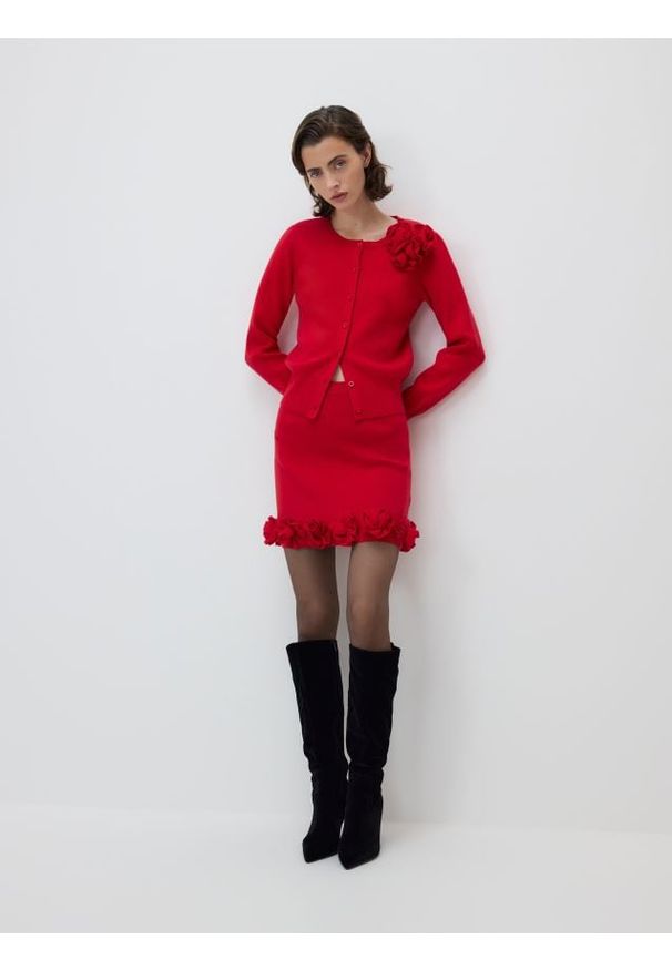 Reserved - Spódnica z ozdobną aplikacją - czerwony. Kolor: czerwony. Materiał: dzianina, wiskoza. Wzór: aplikacja