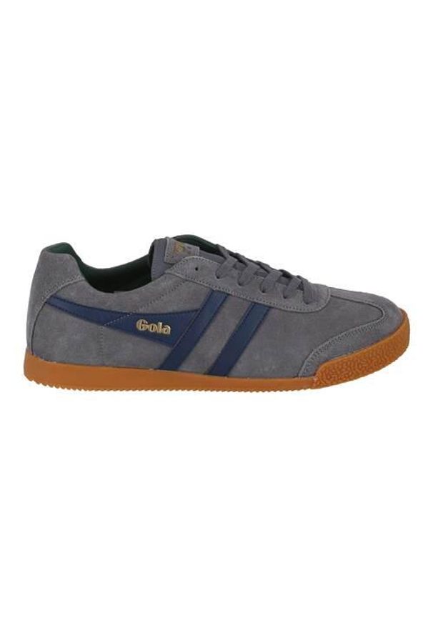Buty do chodzenia męskie Gola Harrier. Zapięcie: sznurówki. Kolor: niebieski, wielokolorowy. Materiał: zamsz, materiał, skóra. Szerokość cholewki: normalna. Sport: turystyka piesza