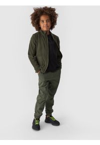 4f - 4F Polar regular ze stójką chłopięcy - khaki 164 (13-14 lat). Typ kołnierza: kołnierzyk stójkowy. Kolor: oliwkowy, brązowy, wielokolorowy. Materiał: polar. Wzór: gładki. Sezon: lato. Sport: turystyka piesza, wspinaczka, snowboard, narciarstwo #2