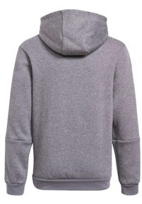 Adidas - Bluza dla dzieci adidas Tiro 21 Sweat Hoody. Kolor: szary