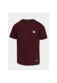 PITBULL - Pitbull T-shirt Small Logo Dark Burgundy. Kolor: czerwony