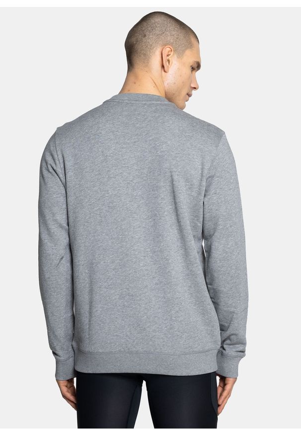 Bluza męska Napapijri Birol Crewneck (NP0A4FA61601). Kolor: szary