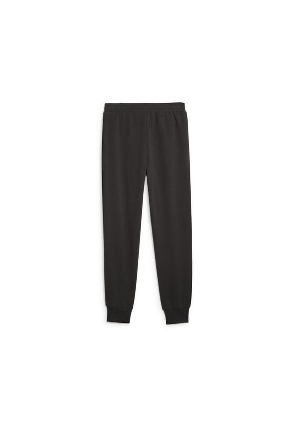 Spodnie sportowe męskie Puma 62114801. Kolor: czarny. Styl: sportowy
