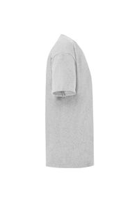 FRUIT OF THE LOOM - Koszulka Dziecięca Iconic Heather. Kolor: szary