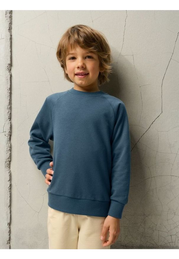 Sinsay - Bluza - niebieski. Kolor: niebieski