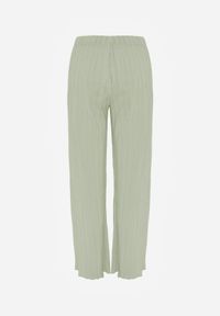 Born2be - Zielone Szerokie Spodnie z Wysokim Stanem ze Zwiewnej Tkaniny z Plisami Galiris. Okazja: do pracy, na co dzień, na spotkanie biznesowe. Stan: podwyższony. Kolor: zielony. Materiał: tkanina. Długość: długie. Styl: elegancki, biznesowy, casual #6