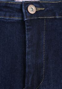 Renee - Niebieskie Jeansy Skinny z Postrzępionymi Krawędziami Janitha. Kolor: niebieski. Wzór: aplikacja #5