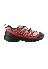 salomon - Buty trekkingowe dla dzieci Salomon Xa Pro V8 CSWP. Kolor: czarny #1