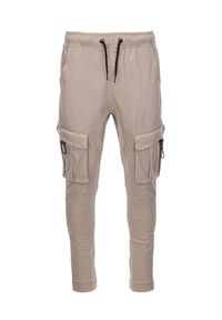 Ombre Clothing - Spodnie męskie joggery - beżowe V19 P1026 - XXL. Kolor: beżowy. Materiał: bawełna, elastan #5
