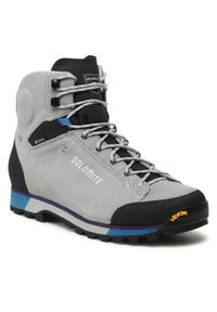 Trekkingi Dolomite. Kolor: szary. Technologia: Gore-Tex. Sport: turystyka piesza #1