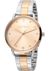 Zegarek Esprit Zegarek damski Esprit ES1L173M0105 srebrny. Kolor: srebrny #1
