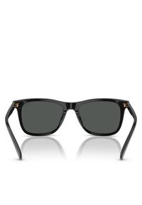 Polo Ralph Lauren Okulary przeciwsłoneczne 0PH4220U 55 500187 Czarny. Kolor: czarny