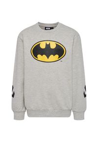 Bluza dziecięca Hummel Batman. Kolor: szary. Wzór: motyw z bajki #1