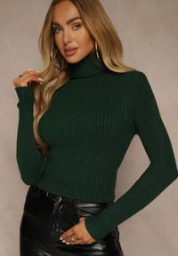 Renee - Ciemnozielony Golf Irinsyss. Typ kołnierza: golf. Kolor: zielony. Materiał: dzianina. Długość: długie. Wzór: prążki #3