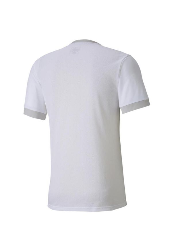 Koszulka męska Puma teamGOAL 23 Jersey. Kolor: szary, biały, wielokolorowy. Materiał: jersey. Sport: piłka nożna