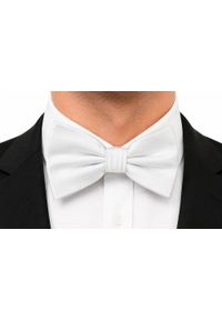 Mucha Męska w Zestawie z Poszetką - Alties - Jednolita, Biała. Kolor: biały. Wzór: jednolity. Styl: elegancki, sportowy #4