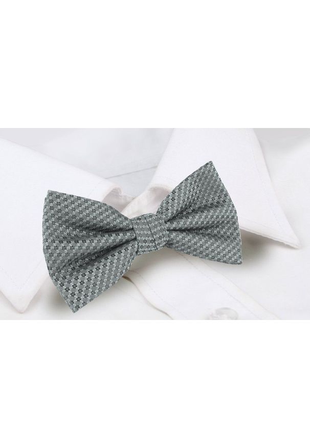 Mucha Męska z Poszetką - Chattier - Srebrna z Drobnym Wzorem. Kolor: srebrny. Styl: elegancki, sportowy