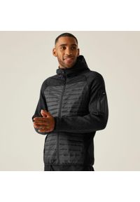 Regatta - Kurtka męska hybrydowa Newhill. Kolor: szary, brązowy, wielokolorowy. Materiał: puch. Sport: turystyka piesza #1